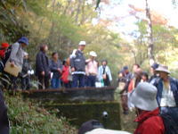 かんさつ風景